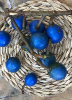 Blue Olive Pashmina Headwrap