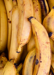 Golden Plantain Pashmina Headwrap