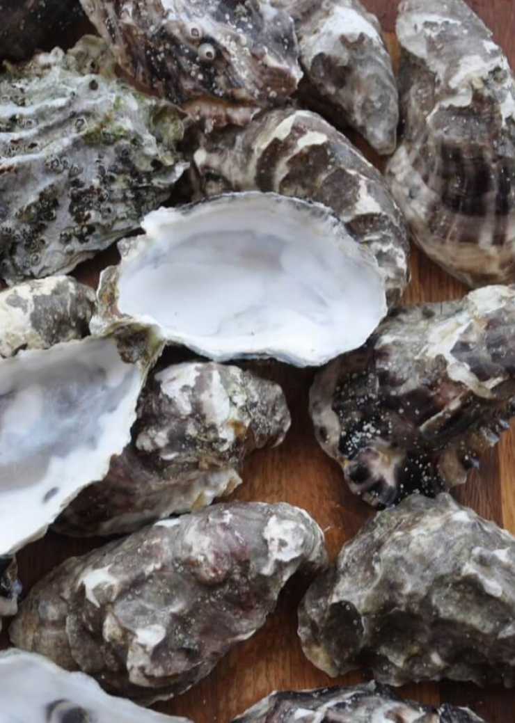 Dark Grey Jersey Knit Headwraps