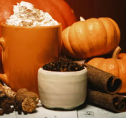 Pumpkin Spice Stretchy Ribbed Scarf Headwrap