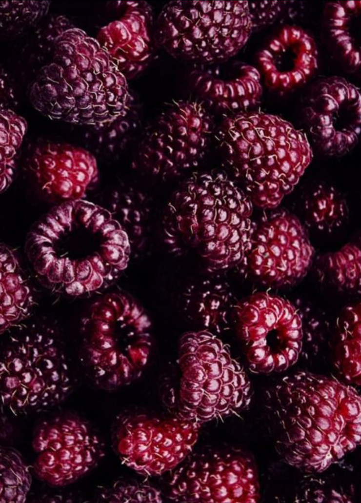 Dark Cherry (Burgundy) Jersey Knit Headwraps