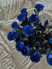 Blue Rose Pashmina Headwrap